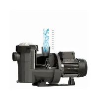 Pool filtration pump - VICTORIA plus silent AstralPool - 2