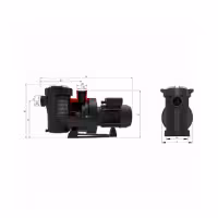 AstralPool Victoria Plus Silent selbstansaugende Poolpumpe - 4 - Pumpen