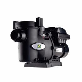 Zodiac bomba de piscina velocidad variable FloProVS - 1 - Bombas