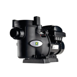 Zodiac pompe piscine FloPro VS vitesse variable - 1 - Pompes