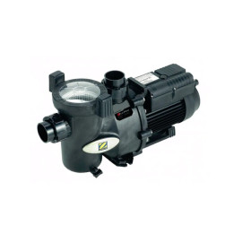 Zodiac Flopro Single Speed Swimming Pool Pump - 1 - Pumps